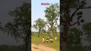 Nature #nature #forestsounds