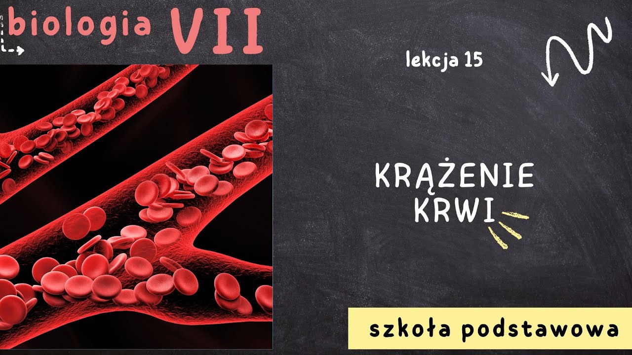 Biologia 7 [Lekcja 15 - Krążenie krwi] - YouTube