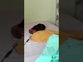 Funny cats fails collection #4