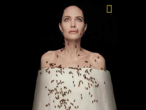 Video: Angelina Jolie presenterte en samling smykker