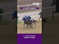 Ankara'da günün 6. koşusunu Princess Deniz, Ercan Çankaya ile kazandı!