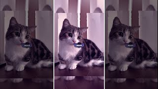 PRESET AM TERBARU II DIBAWAH 5MB & XML || DJ TUHAN IKHLASKAN HATIKU TUK BISA MELEPASKANNYA😋🔥