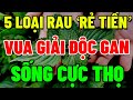 5 LOẠI RAU LÀ &quot;VUA GIẢI ĐỘC GAN&quot;, Về Già Phải Biết, Máu Thông Lên Não, SỐNG RẤT THỌ, BỔ HƠN SÂM