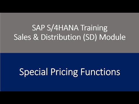 Video 54 - SAP S/4HANA Sales & Distribution (SD) Module training - Special Pricing Functions.
