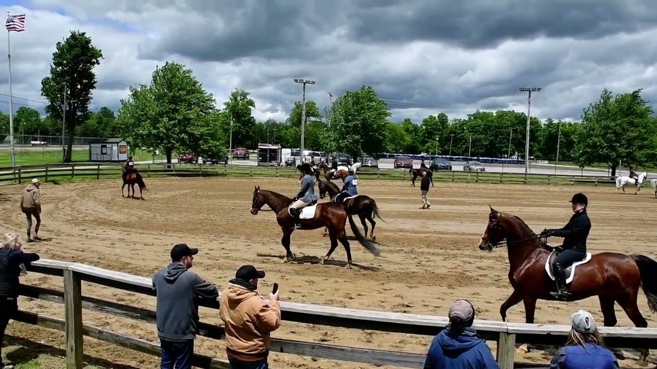 Nic and Oliver in Class 1 - Bridle Path Horse Saddle/Hunt Seat at RWB at Canfield Fairgrounds