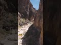 Threading the canyon… 🧈