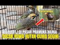 CEK HARGA CUCAK ROWO HUTAN DI PASAR PRAMUKA MALAH NEMU BEO CERDAS DAN PINTAR BICARA