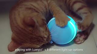 World’s first interactive and remote-controlled smart ball for your dog and cat