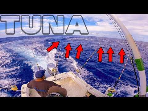 What Is Tuna Called In Hawaii