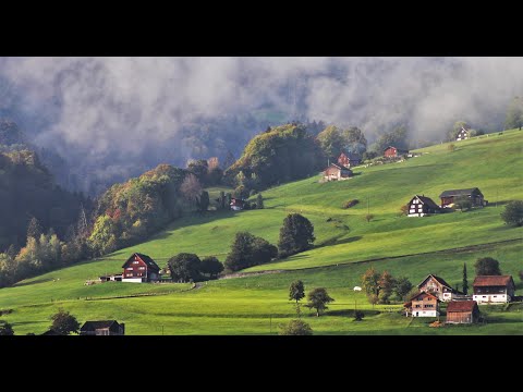 Things will get better - 권영호