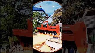 Dia de entrega Tritton Jan 2300