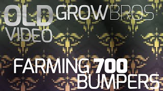 Growtopia - Farming 700 Pinball Bumpers
