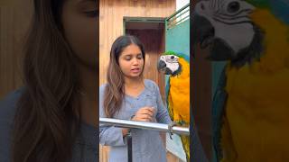 🦜शैंपू लेने गया तोता🥰#dosti #parrot #video #dosti #training #birds 🥰#video #viral ❤️#shorts