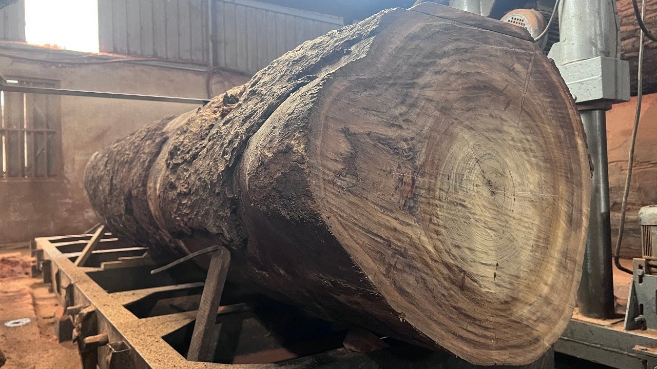 Amazing Dangerous Skills Giant Wood Cutting Fastest | Extreme Wood ...