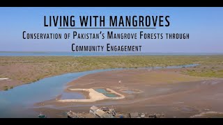 Living With Mangroves - Conservation Of Stans Mangrove Forests Through Community Engagement