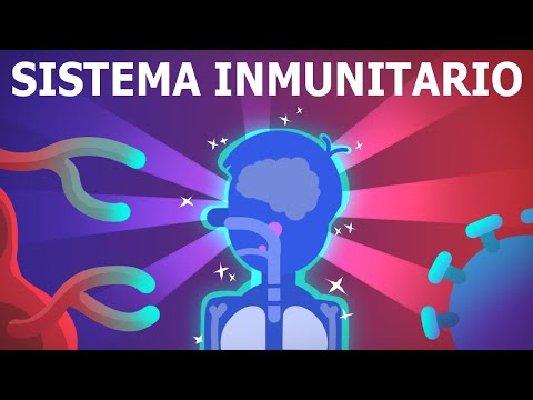 EL SISTEMA INMUNE