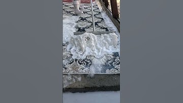 Foam scraping #85#satisfying #asmr #carpetcleaning.