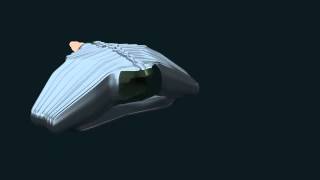 3-D Solar Plexus Space ship