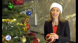News reporter Christmas tree fail