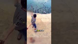 The Crocodile Was Hungry For Someth...