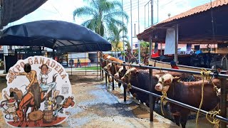 Llego la EXPO GANADERA 2026  Tlaquepaque jalisco ?? ? Guadalajara Mes de Fiesta ? ?
