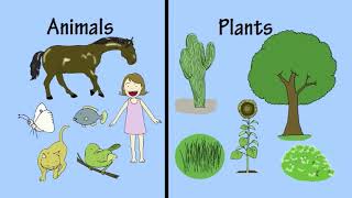 2c Classifying Living Things by Peter Weatherall Net Worth