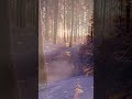 ice snow #qurantranslation #snowwhite #quranshorts