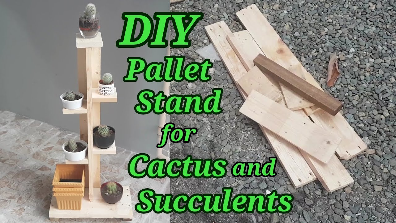 DIY Pallet Stand for Cactus and Succulents | Plant Stand | Plant Stand