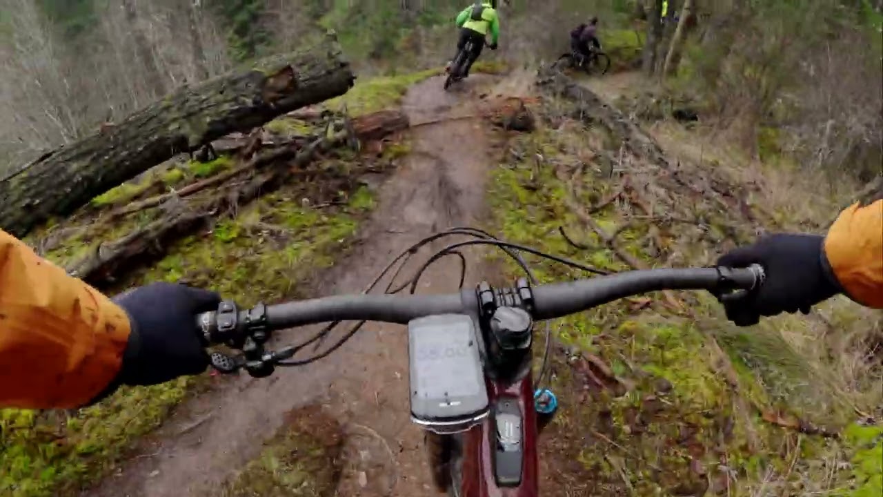 2026 Feb 18 Harewood Heights