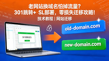 老网站换域名怕掉流量？301 跳转 + SSL 部署，零损失迁移攻略！wordpress换域名保姆教程
