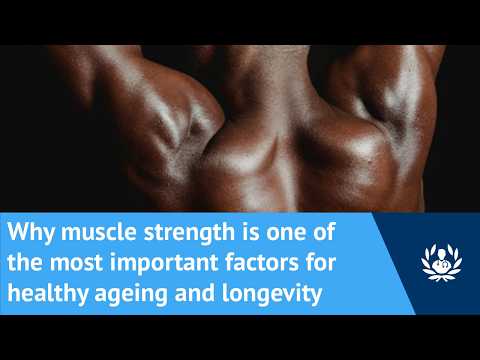 Why is maintaining muscle strength one of the most important factors for healthy ageing and longevity?
