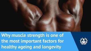 Why is maintaining muscle strength one of the most important factors for healthy ageing?
