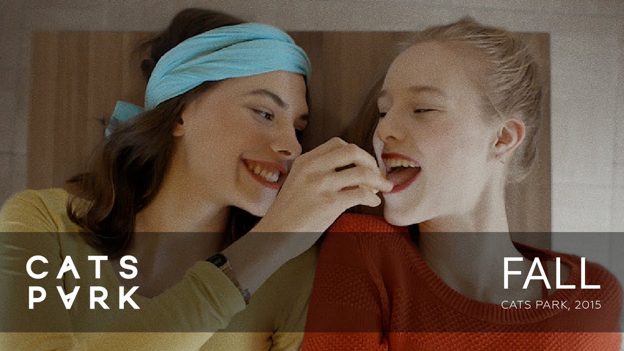 Cats Park - Fall