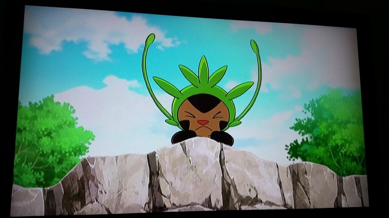 Ash commets to Clemont's Chespin