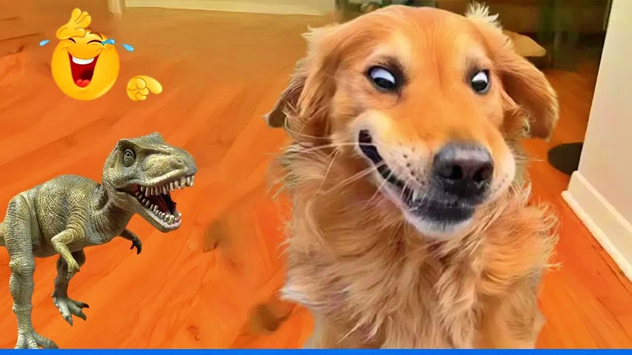 Funniest Cats & Dogs of 2026 🐾😸 | Try Not To Laugh Challenge! 🤭 