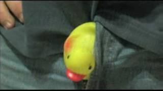 Rubber Duckies PSA