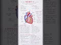 Human heart pumps blood continuously sustaining life and vital functions.