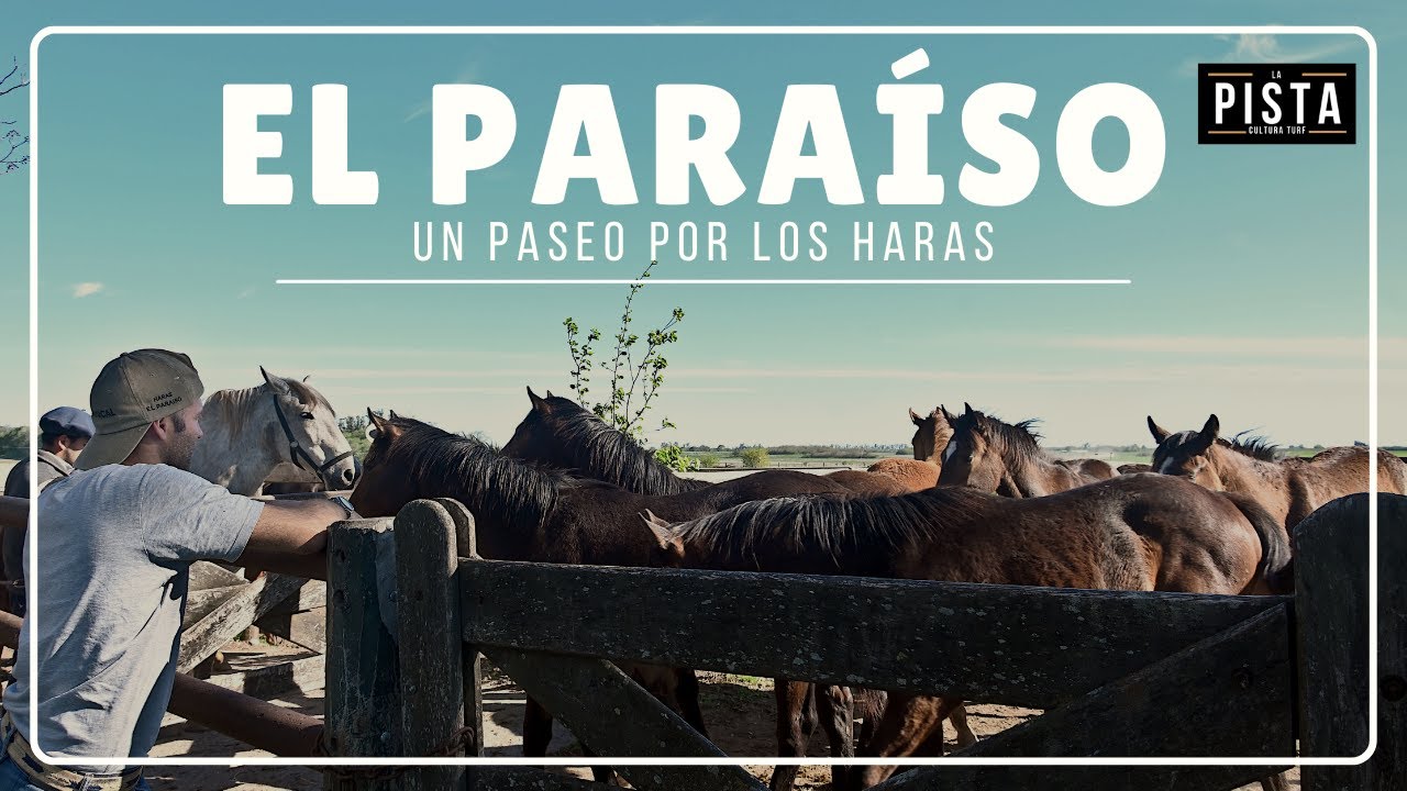 Un paseo por los haras. El Paraíso