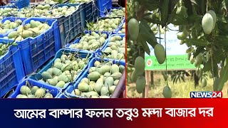 নওগর আমর বজর সনডকট, নযয দম ন পওযর অভযগ Naogaon Mango Mango News24