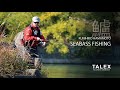 TALEX Fishing SALT（タレックス）