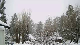 LIVE WEATHER-CAM ALL WEEKEND BIG BEAR CITY WNW VIEW 1-2 FEET OF SNOW DUMPING ENJOY EASTER SNOWFALL!