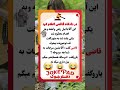 در دادگاه قاضی اعلام کرد جوک تکست فان خنده  خندارترین مجرم قاضی  