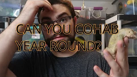 Can you COHAB CRESTED GECKOS YEAR ROUND??