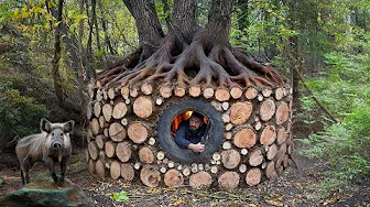 Building a Forest Shelter from Logs: Wild Boar Attacks at Night Bushcraft Survival