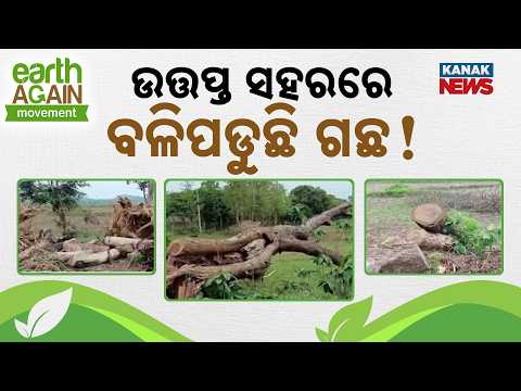 Citizens Angry! Development Becomes A Curse For Odisha's Green Cover Today