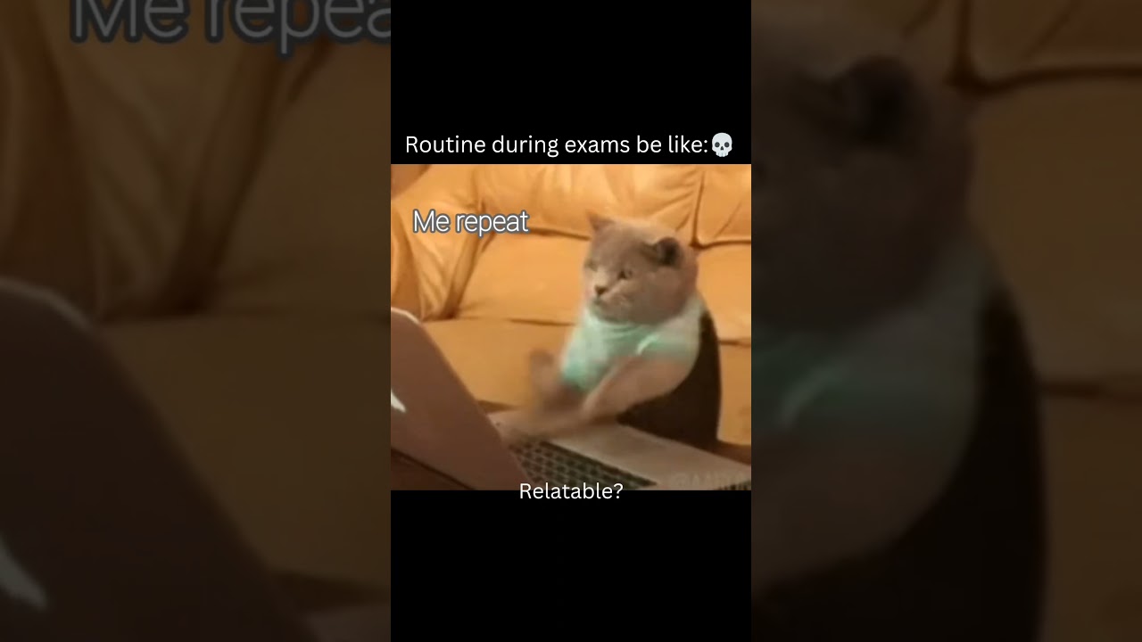 Just Exam situation be like:💀