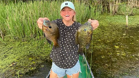 We Found a GIANT Bream Bed LOADED with BIG FISH!!!...