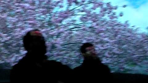 Light Twist projection demo