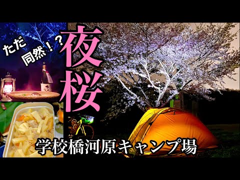 【お花見ソロキャンプ】飯テロ連発！タケノコたっぷりメスティン釜飯。夜桜を見ながら嵐山の地酒、てっちり鍋を味わう！