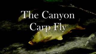 Casey Smartts Canyon Carp Fly
